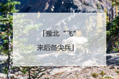 豫北“飞”来后备尖兵