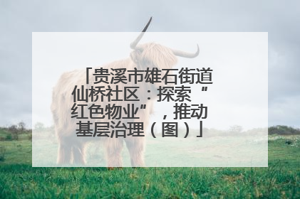 贵溪市雄石街道仙桥社区：探索“红色物业”，推动基层治理（图）