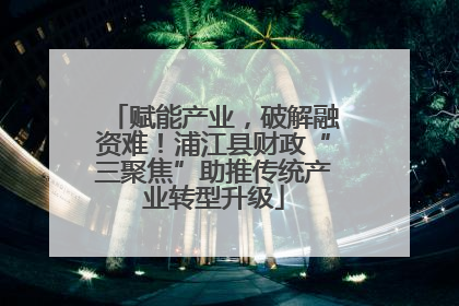 赋能产业，破解融资难！浦江县财政“三聚焦”助推传统产业转型升级