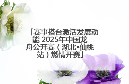 赛事搭台激活发展动能 2025年中国龙舟公开赛（湖北•仙桃站）燃情开赛