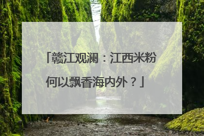 赣江观澜：江西米粉何以飘香海内外？