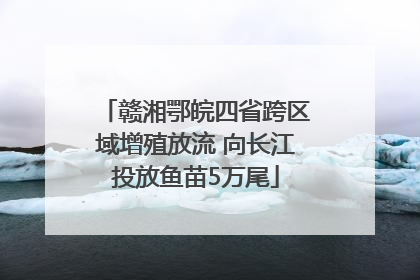 赣湘鄂皖四省跨区域增殖放流 向长江投放鱼苗5万尾