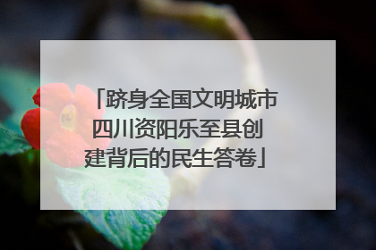 跻身全国文明城市 四川资阳乐至县创建背后的民生答卷