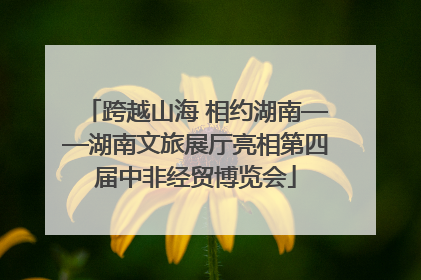 跨越山海 相约湖南——湖南文旅展厅亮相第四届中非经贸博览会