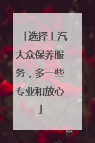 选择上汽大众保养服务，多一些专业和放心