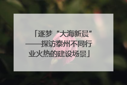 逐梦“大海新晨”——探访泰州不同行业火热的建设场景