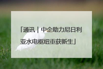 通讯｜中企助力尼日利亚水电枢纽重获新生
