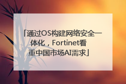 通过OS构建网络安全一体化，Fortinet看重中国市场AI需求