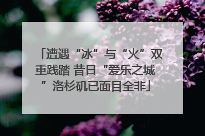 遭遇“冰”与“火”双重践踏 昔日“爱乐之城”洛杉矶已面目全非
