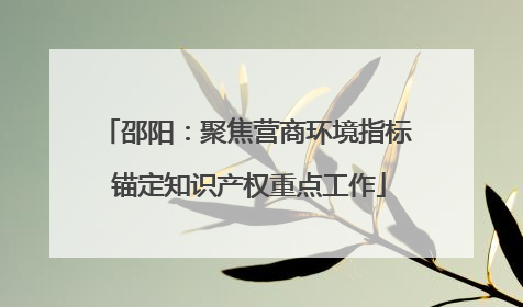 邵阳：聚焦营商环境指标 锚定知识产权重点工作
