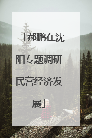 郝鹏在沈阳专题调研民营经济发展