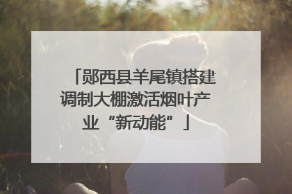 郧西县羊尾镇搭建调制大棚激活烟叶产业“新动能”