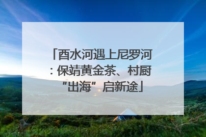 酉水河遇上尼罗河：保靖黄金茶、村厨“出海”启新途