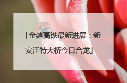金建高铁最新进展：新安江特大桥今日合龙