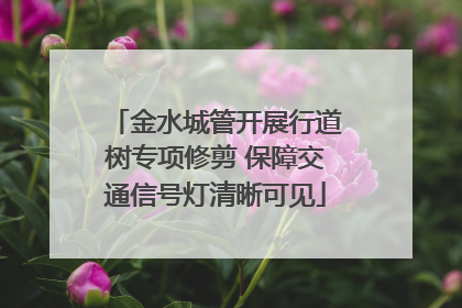 金水城管开展行道树专项修剪 保障交通信号灯清晰可见