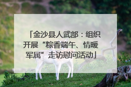 金沙县人武部：组织开展“粽香端午、情暖军属”走访慰问活动