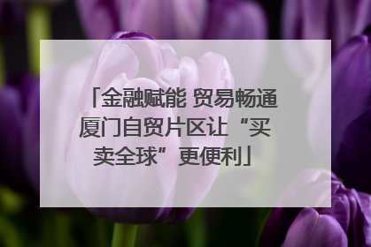 金融赋能 贸易畅通 厦门自贸片区让“买卖全球”更便利