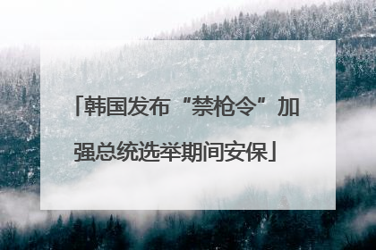 韩国发布“禁枪令”加强总统选举期间安保