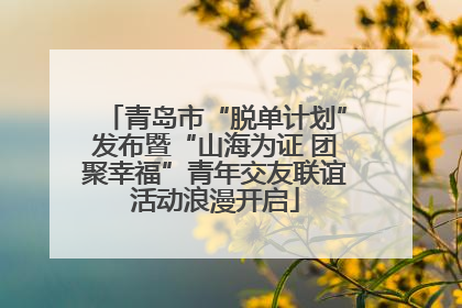 青岛市“脱单计划”发布暨“山海为证 团聚幸福”青年交友联谊活动浪漫开启