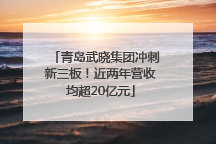 青岛武晓集团冲刺新三板！近两年营收均超20亿元