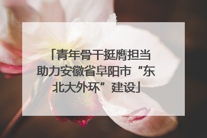 青年骨干挺膺担当 助力安徽省阜阳市“东北大外环”建设