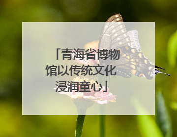 青海省博物馆以传统文化浸润童心