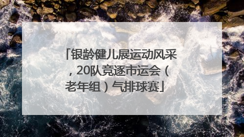 银龄健儿展运动风采，20队竞逐市运会（老年组）气排球赛