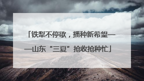 铁犁不停歇，播种新希望——山东“三夏”抢收抢种忙