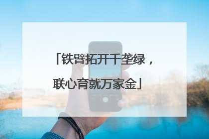 铁臂拓开千垄绿，联心育就万家金
