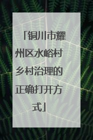 铜川市耀州区水峪村乡村治理的正确打开方式