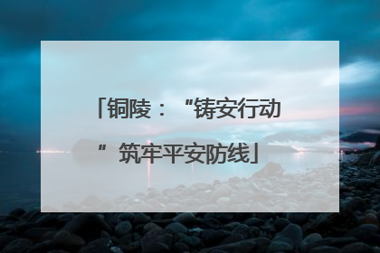 铜陵：“铸安行动”筑牢平安防线