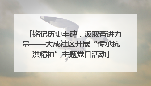 铭记历史丰碑，汲取奋进力量——大成社区开展“传承抗洪精神”主题党日活动