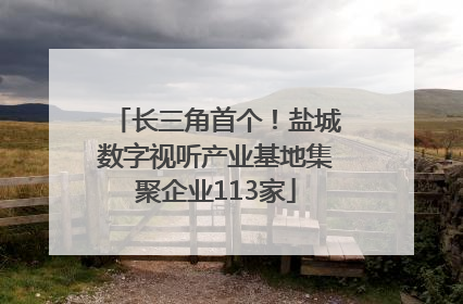 长三角首个！盐城数字视听产业基地集聚企业113家
