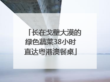 长在戈壁大漠的绿色蔬菜38小时直达粤港澳餐桌