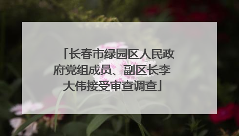 长春市绿园区人民政府党组成员、副区长李大伟接受审查调查