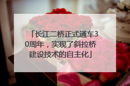 长江二桥正式通车30周年，实现了斜拉桥建设技术的自主化