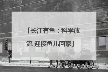 长江有鱼：科学放流 迎接鱼儿回家