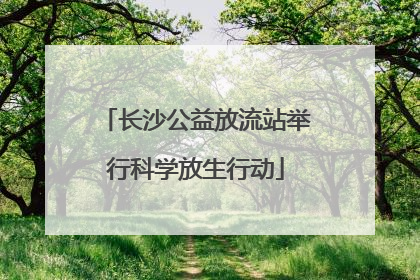 长沙公益放流站举行科学放生行动