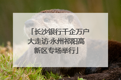 长沙银行千企万户大走访·永州祁阳高新区专场举行