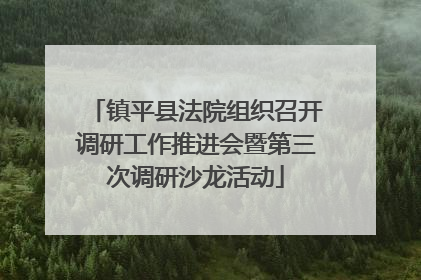 镇平县法院组织召开调研工作推进会暨第三次调研沙龙活动