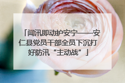 闻汛即动护安宁——安仁县党员干部全员下沉打好防汛“主动战”