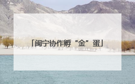 闽宁协作孵“金”蛋