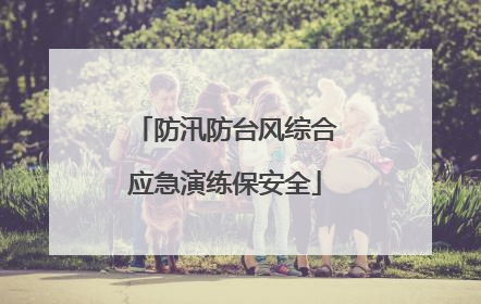 防汛防台风综合应急演练保安全