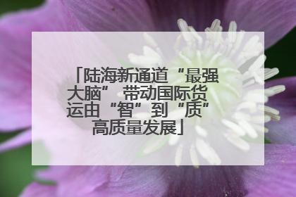陆海新通道“最强大脑” 带动国际货运由“智”到“质”高质量发展