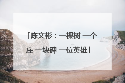 陈文彬：一棵树 一个庄 一块碑 一位英雄