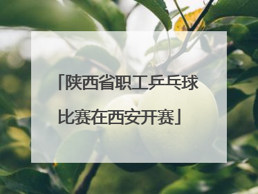 陕西省职工乒乓球比赛在西安开赛