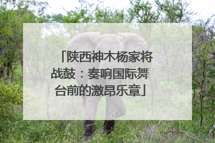 陕西神木杨家将战鼓：奏响国际舞台前的激昂乐章