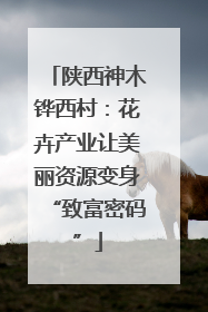 陕西神木铧西村：花卉产业让美丽资源变身“致富密码”