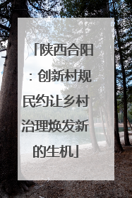 陕西合阳：创新村规民约让乡村治理焕发新的生机