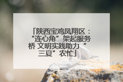 陕西宝鸡凤翔区：“连心角”架起服务桥 文明实践助力“三夏”农忙